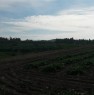foto 3 - Terreno agricolo in Contrada Lenzi ad Erice a Trapani in Vendita