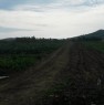 foto 1 - Terreno agricolo in Contrada Lenzi ad Erice a Trapani in Vendita