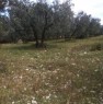 foto 4 - Terreno agricolo Costa del Sole a Scandriglia a Rieti in Vendita