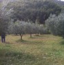 foto 3 - Terreno agricolo Costa del Sole a Scandriglia a Rieti in Vendita