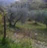 foto 2 - Terreno agricolo Costa del Sole a Scandriglia a Rieti in Vendita