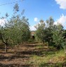 foto 0 - Annesso agricolo in localit Cafaggio a Livorno in Vendita