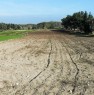 foto 3 - Terreno agricolo a Vernole a Lecce in Vendita