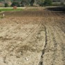 foto 2 - Terreno agricolo a Vernole a Lecce in Vendita
