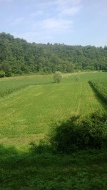 Annuncio vendita Terreno agricolo in zona Fontega ad Arcugnano