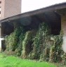 foto 3 - Immobile in Casalrosso comune di Lignana a Vercelli in Vendita