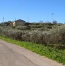foto 1 - Siculiana terreno agricolo a Agrigento in Vendita