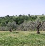 foto 4 - Viterbo terreno agricolo a Viterbo in Vendita