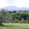 foto 3 - Viterbo terreno agricolo a Viterbo in Vendita