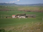 Annuncio vendita Azienda agricola S.Placido in Castiglione d'Orcia