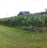 foto 32 - Terreno agricolo zona Cotignola a Ravenna in Vendita