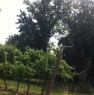 foto 19 - Terreno agricolo zona Cotignola a Ravenna in Vendita