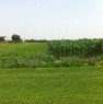 foto 9 - Terreno agricolo zona Cotignola a Ravenna in Vendita