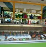 foto 2 - Mirandola cedo gelateria a Modena in Vendita