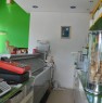 foto 1 - Mirandola cedo gelateria a Modena in Vendita