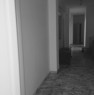 foto 1 - Foggia appartamento con camere per studentesse a Foggia in Affitto