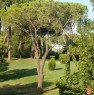 foto 11 - Olgiata appartamento nel verde a Roma in Affitto