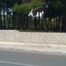 foto 0 - Gallipoli cedesi terreno piantumato a Lecce in Vendita