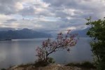 Annuncio vendita Manerba Lago di Garda villa