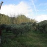 foto 9 - Terreno agricolo con casetta Santa Lucia del Mela a Messina in Vendita