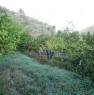 foto 7 - Terreno agricolo con casetta Santa Lucia del Mela a Messina in Vendita