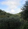 foto 6 - Terreno agricolo con casetta Santa Lucia del Mela a Messina in Vendita