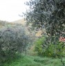 foto 5 - Terreno agricolo con casetta Santa Lucia del Mela a Messina in Vendita