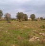 foto 2 - Galatone terreno agricolo a Lecce in Vendita