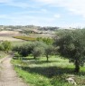 foto 3 - Serradifalco terreno per la coltivazione agricola a Caltanissetta in Vendita