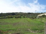 Annuncio vendita Serradifalco terreno per la coltivazione agricola