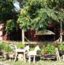 foto 3 - Riolo Terme casa con capannone a Ravenna in Vendita