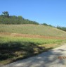 foto 1 - Fauglia Acciaiolo terreno agricolo a Pisa in Vendita
