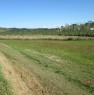 foto 0 - Fauglia Acciaiolo terreno agricolo a Pisa in Vendita