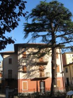 Annuncio vendita A Reggio Emilia casa singola