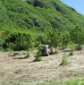foto 6 - Papasidero terreno in montagna a Cosenza in Vendita