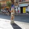 foto 10 - San Pietro di Scafati cedo attivit bar a Salerno in Vendita