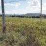 foto 3 - Zona Cortoghiana terreno a Carbonia-Iglesias in Vendita