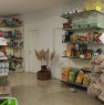 foto 3 - San Damiano d'Asti negozio di mangimi e accessori a Asti in Vendita
