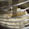 foto 2 - Prato attivit di forno con laboratorio produzione a Prato in Vendita