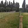 foto 3 - Ampio terreno in zona Ardeatina a Roma in Affitto