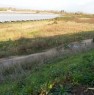 foto 2 - Frignano terreno agricolo a Caserta in Vendita