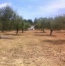 foto 1 - Citt Sant'Angelo terreno pianeggiante a Pescara in Vendita