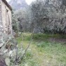 foto 3 - Altofonte terreno agricolo a Palermo in Vendita