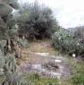 foto 2 - Altofonte terreno agricolo a Palermo in Vendita
