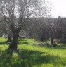 foto 3 - Giano Vetusto terreno agricolo a Caserta in Vendita