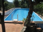 Annuncio affitto Sardegna costa Smeralda villa