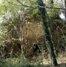 foto 2 - Mondaino rudere nel verde a Rimini in Vendita
