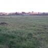 foto 7 - Nettuno terreno agricolo a Roma in Vendita