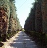 foto 2 - Tavullia villa a Pesaro e Urbino in Vendita