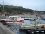Annuncio affitto Bilocali a Cavo Isola d'Elba